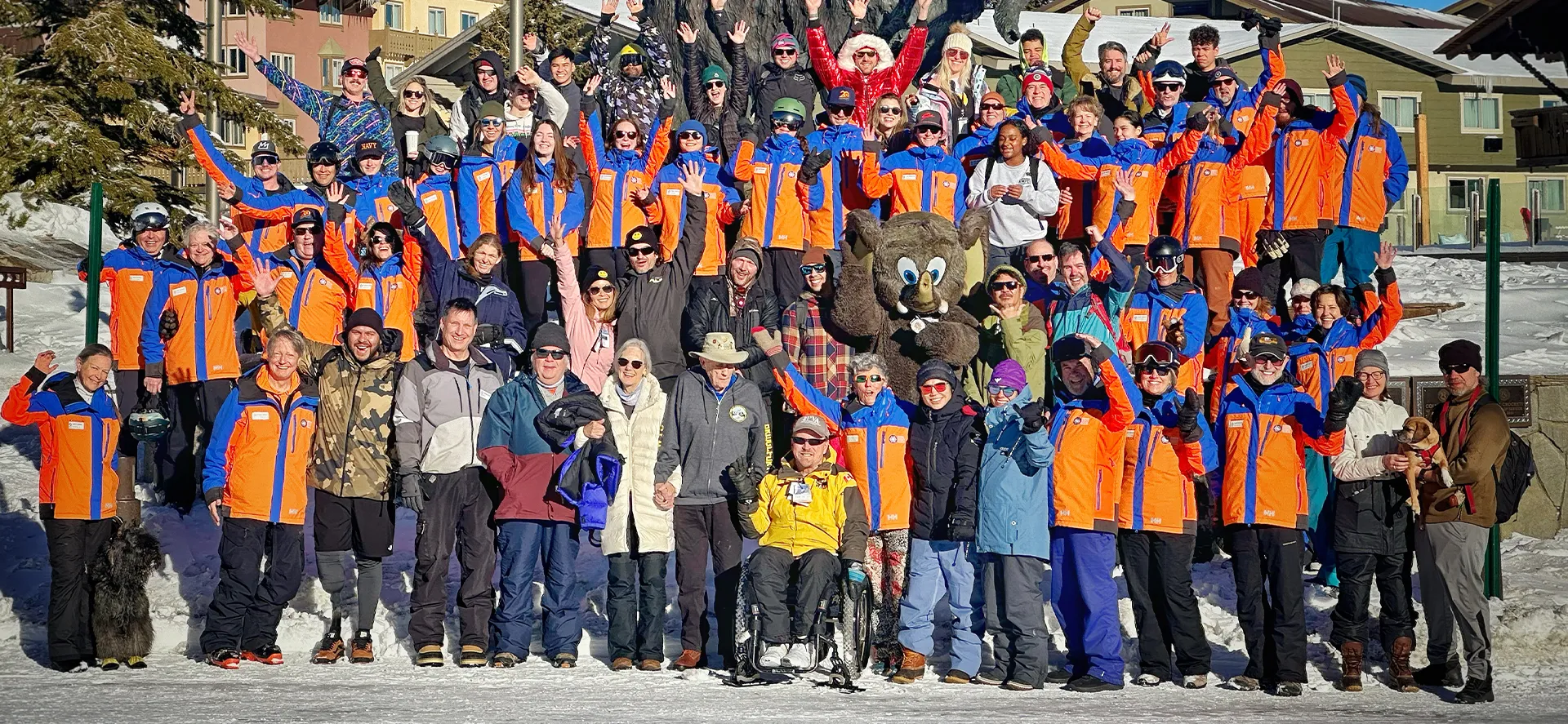 BoardOfDirectors Access Mammoth Board and Leadership Team