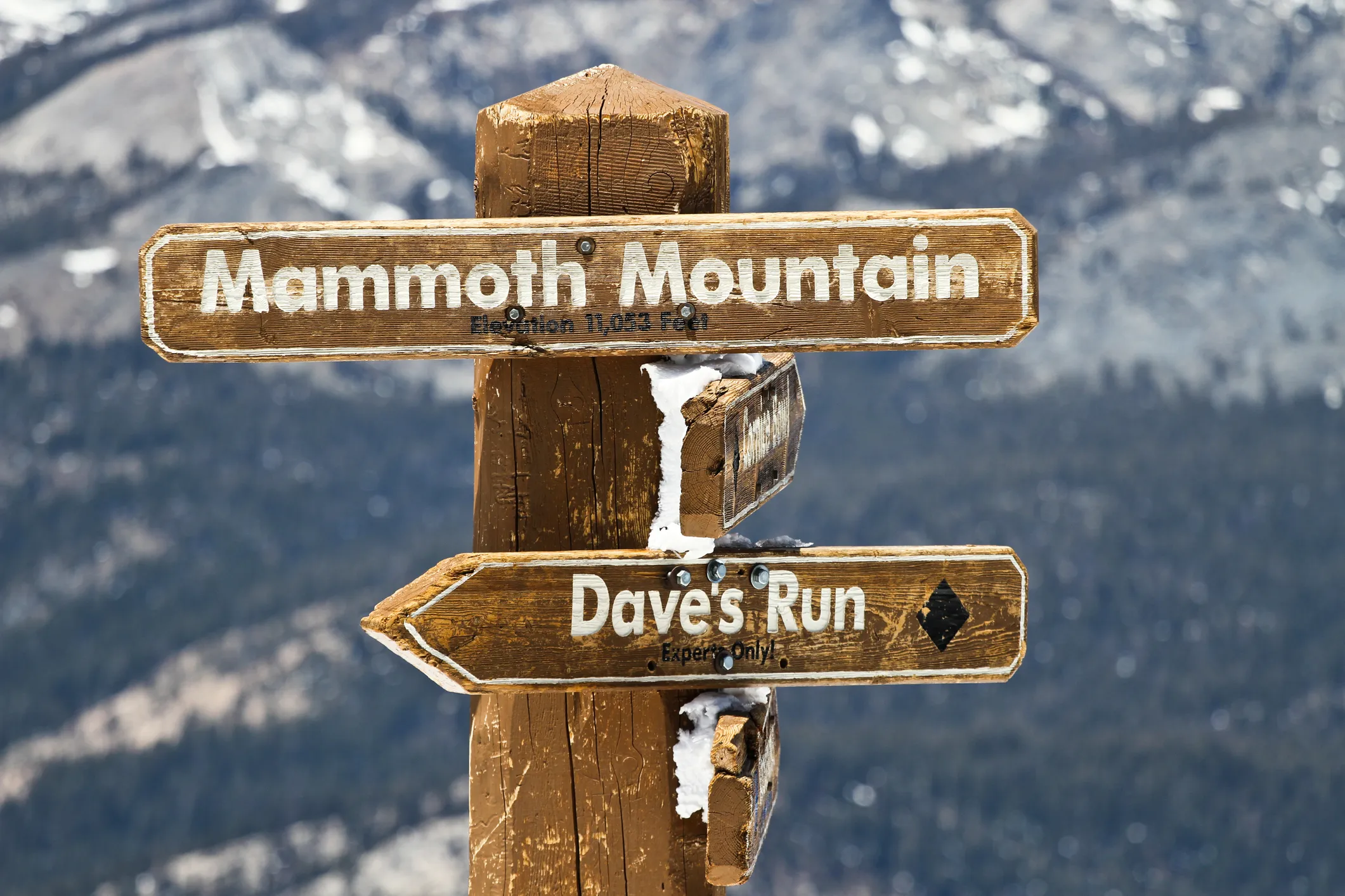 image An Access Mammoth instructor with athlete road biking down a highway smiling at the camera