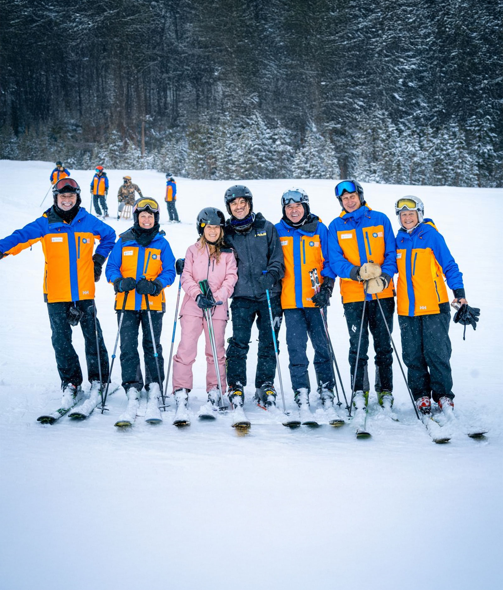 Volunteer at Access Mammoth